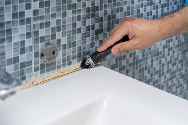 Best Residential Mold Removal  in Pierce City, MO